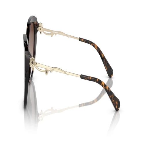 عینک آفتابی کوچ Coach HC8347B - Image 3