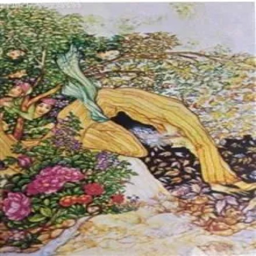 دوعدد