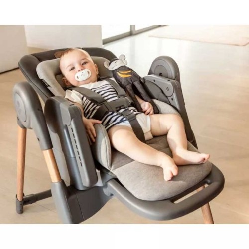 صندلی غذا مکسی کوزی مدل Maxi cosi Minla Grey کد 2713050110