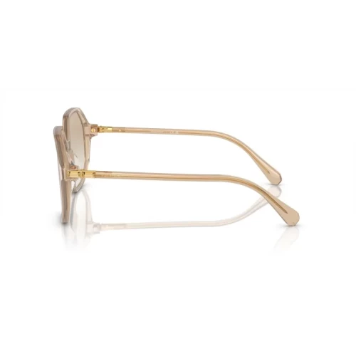 عینک آفتابی سواروسکی Swarovski SK 6003S - Image 2