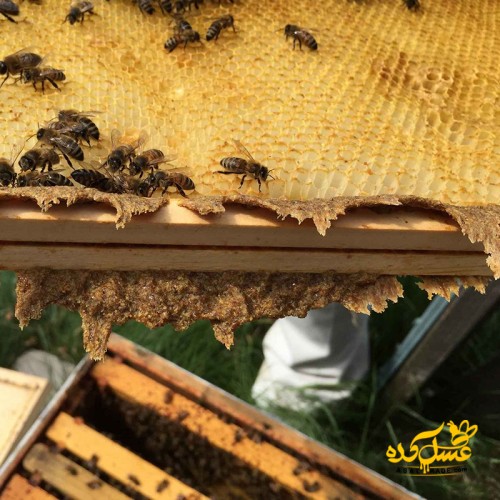 بره موم خالص ارگانیک