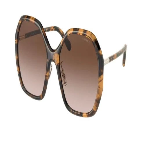عینک آفتابی کوچ Coach HC8343S - Image 2