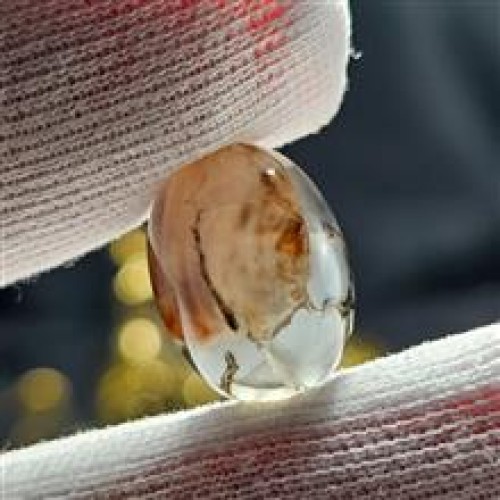 خرید نگین سنگ عقیق دراگون معدنی کد وردسا