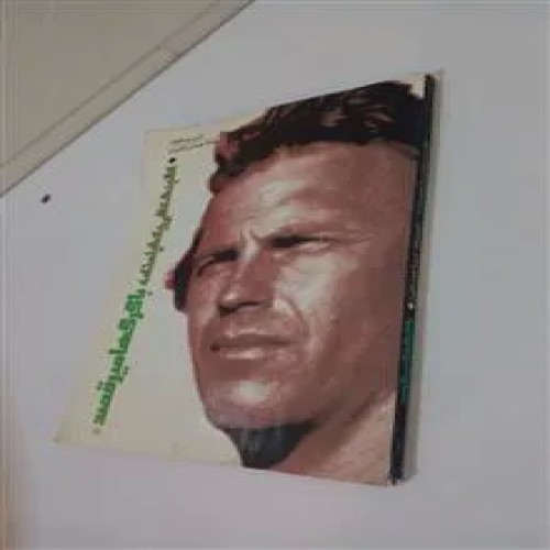 کالبدشناسی