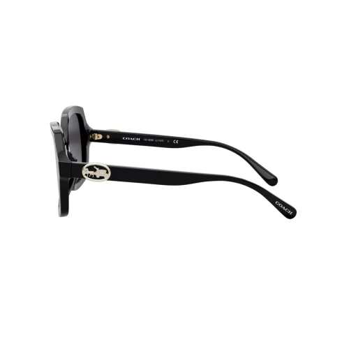 عینک آفتابی کوچ Coach HC8295 - Image 3