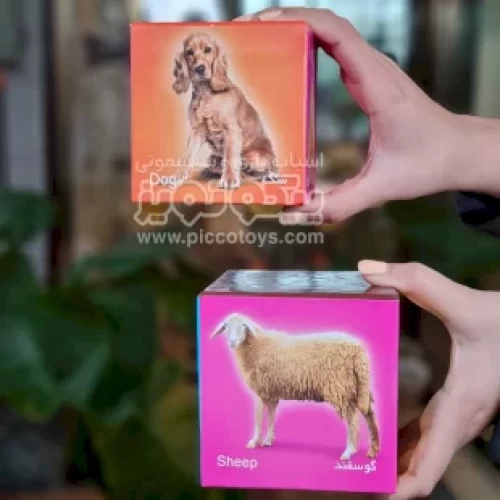اسباب بازی فکری و سرگرمی