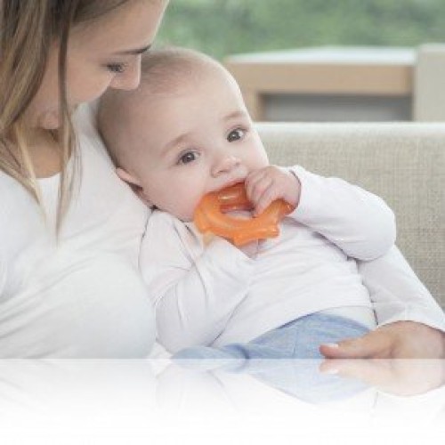 دندانگیر ماهی نارنجی kidsme کد 9020