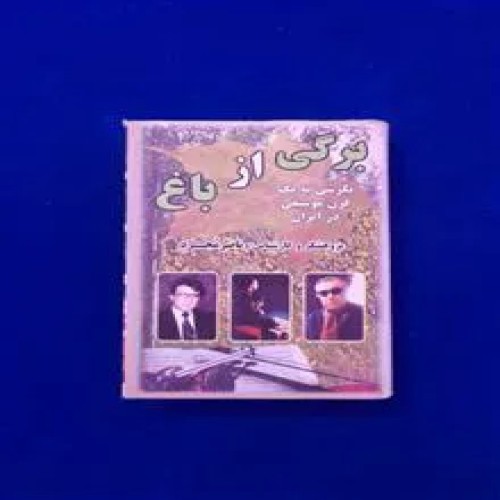 برگی