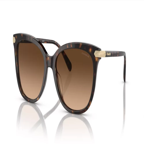 عینک آفتابی کوچ Coach HC8378U - Image 2