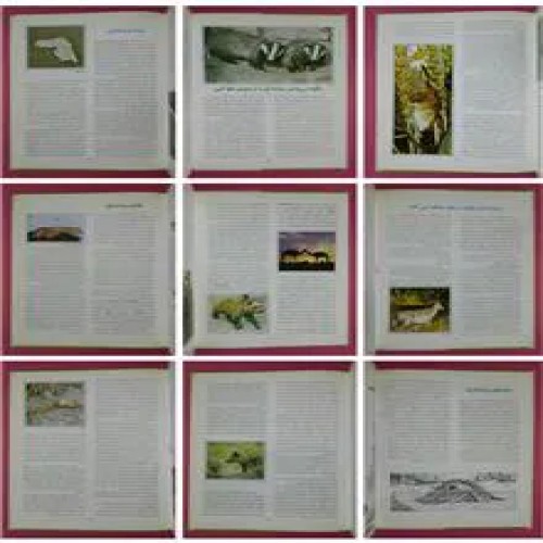 پستانداران