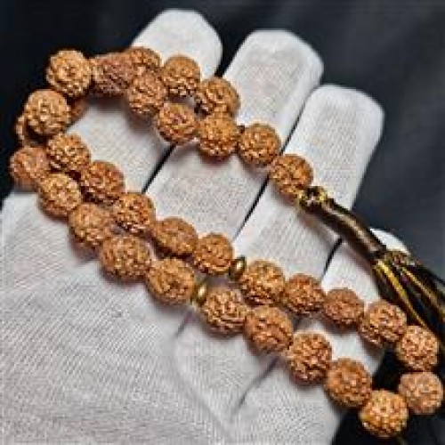 خرید تسبیح 33 دانه رودراکشا کد وردسا