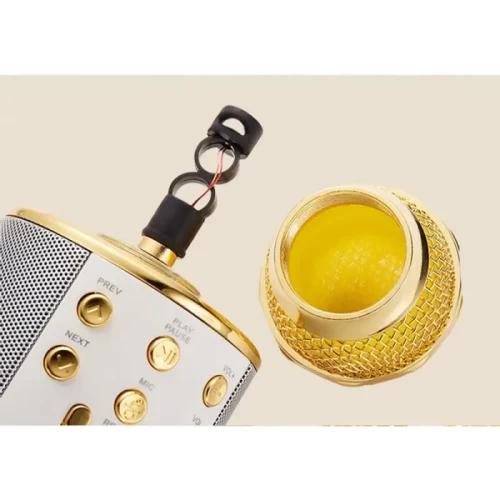 میکروفون اسباب بازی بلوتوثی اسپیکر دار کد WS858