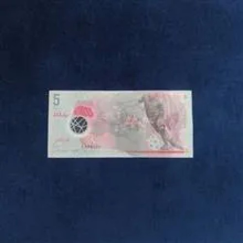 اسکناس