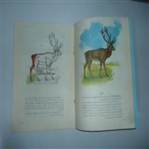 فروش بیست گونه از پستانداران ایران