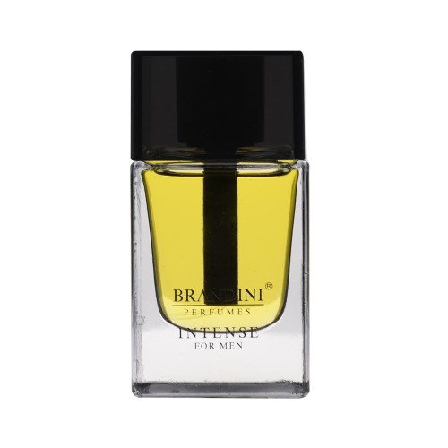 عطر ادکلن اینتنس من مردانه Intense men
