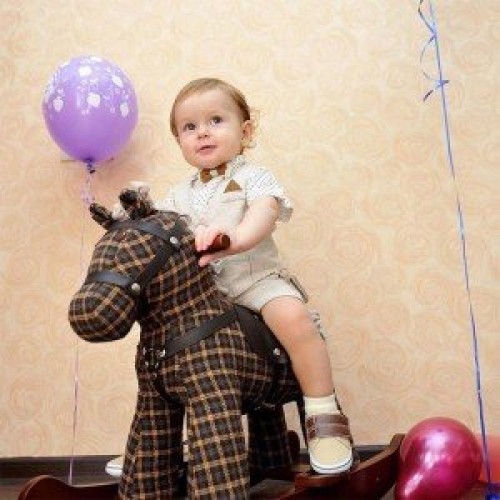 قیمت راکر کودک چوبی روفوس و تد little bird مدل 3018