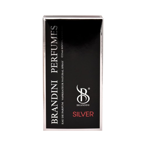عطر ادکلن سیلور مردانه Silver