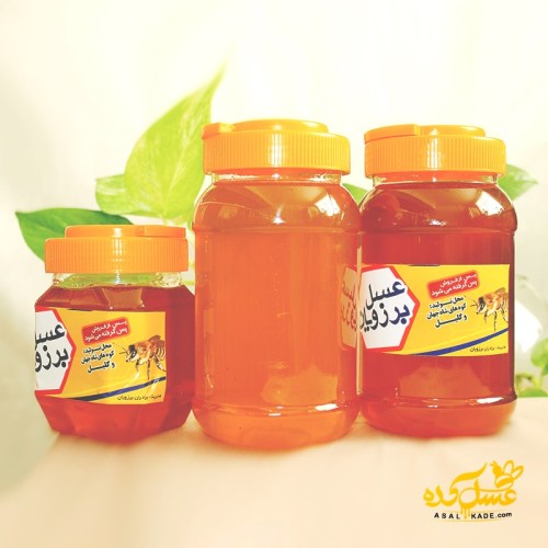 عسل خارشتر صاف شده ارگانیک
