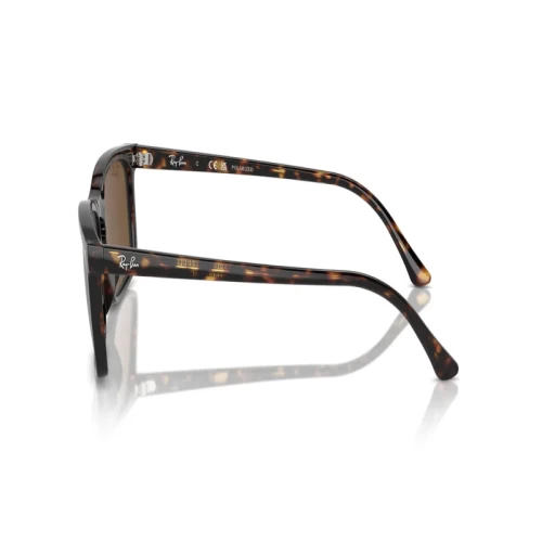 عینک آفتابی ریبن RayBan RB 4435 - Image 5