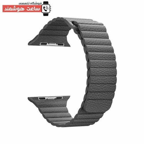 بند لدر لوپ اپل واچ - Apple Watch Leather Loop Strap - Image 5