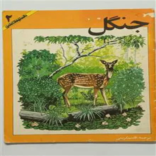 جنگل