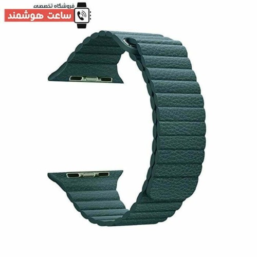 بند لدر لوپ اپل واچ - Apple Watch Leather Loop Strap - Image 7