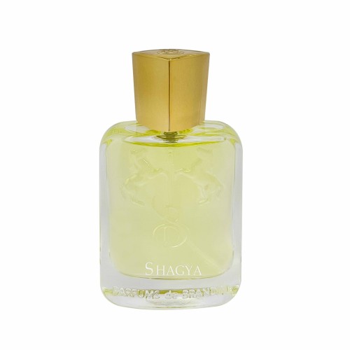 عطر ادکلن شاگیا مردانه Shagya
