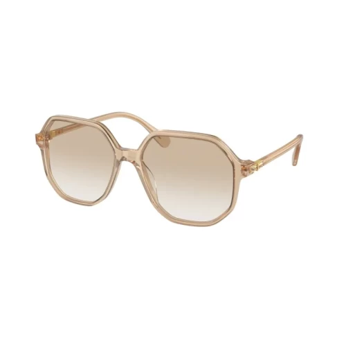 عینک آفتابی سواروسکی Swarovski SK 6003S - Image 5