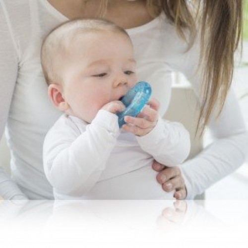 دندانگیر ماهی آبی kidsme کد 9020