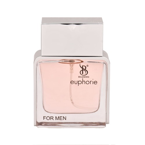 عطر ادکلن ایفوری مردانه Euphorie