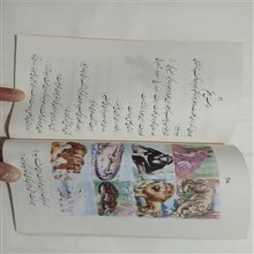 انشاء