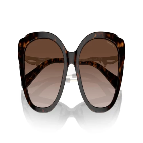 عینک آفتابی کوچ Coach HC8347B - Image 5