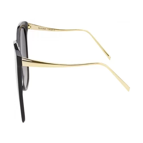 عینک آفتابی آنا هیکمن Ana Hickmann AH9213 A01 - Image 3