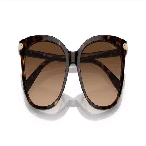عینک آفتابی کوچ Coach HC8378U - Image 4