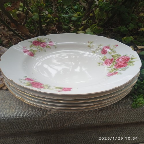 فروش ست 6 عددی بشقاب گل سرخی مسعود با کیفیت عالی