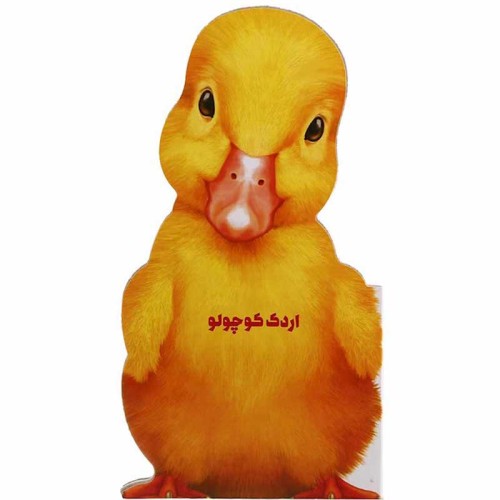 کتاب داستان اردک کوچولو | قصه‌های کودکانه و آموزنده