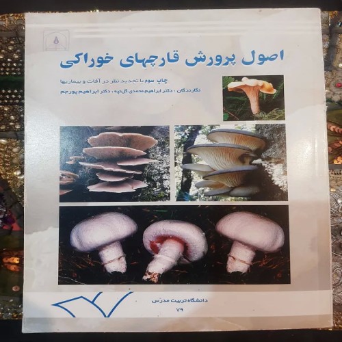 فروش اصول پرورش قارچ های خوراکی