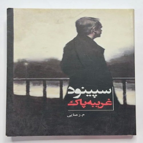 فروش کتاب سپینود غریبه پاک اثر مریم رعنایی با کیفیت عالی