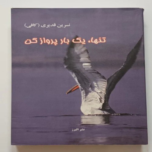 کتاب تنها یک بار پرواز کن قدیری کافی - داستان و رمان عاشقانه