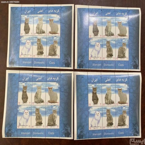 گربه‌های اهلی 1383 - اطلاعات کامل و جامع