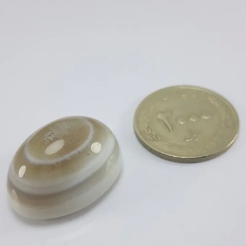 فروش نگین باباقوری چند پوست معدنی