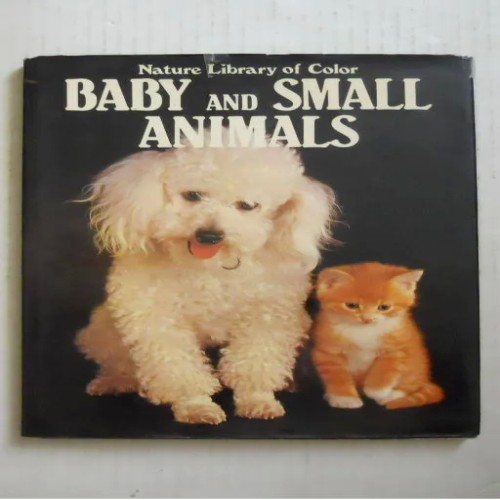 فروش Baby and Small Animals ( رنگی گلاسه هاردکاور )
