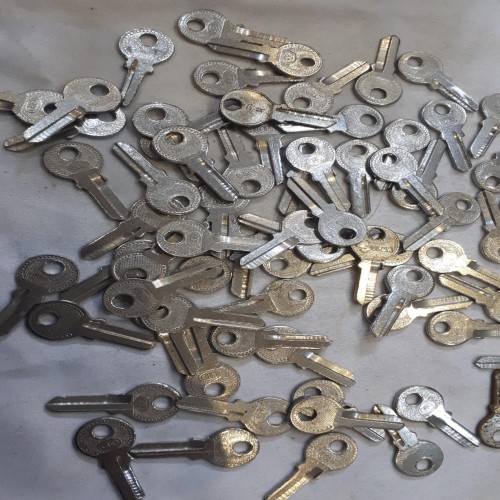 خرید 50 عدد کلید خام کوچک وردسا با بهترین قیمت