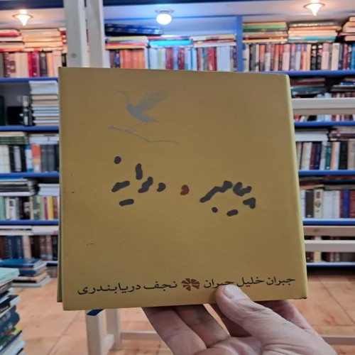 فروش پیامبر و دیوانه - کتابی جذاب و پرمعنا