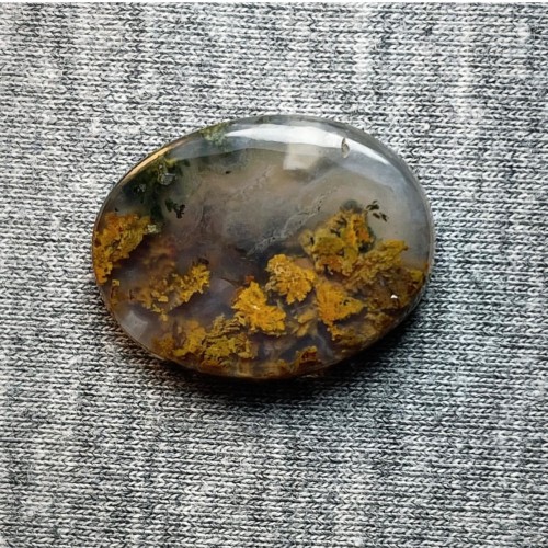 شجر طبیعی پاییزی زیبا - کد 1545 با ابعاد 17×22 میلی‌متر