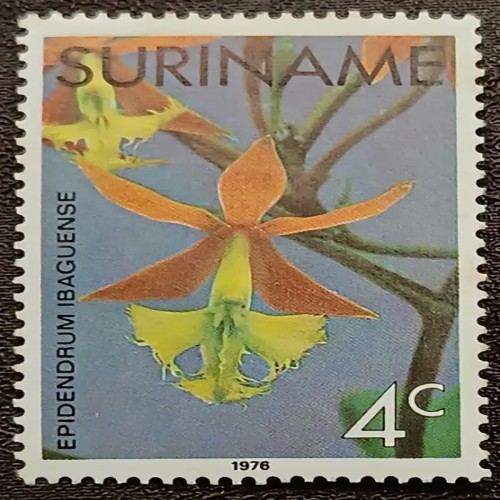 فروش تمبر سورینام مهر نخورده با بهترین قیمت