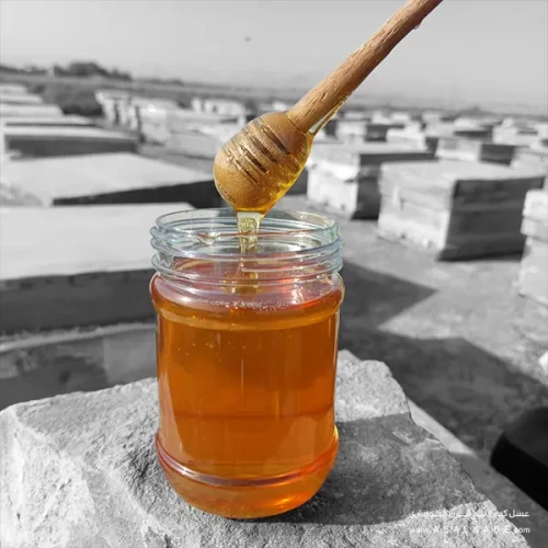 عسل خارشتر صاف شده ارگانیک طبیعی و خالص