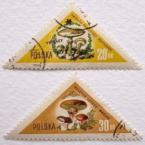 فروش 2 عدد تمبر خارجی قدیمی قارچ های لهستان 1959 مثلثی