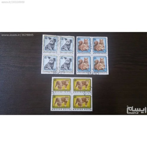 فروش 3 بلوک حیوانات کودکانه و فانتزی