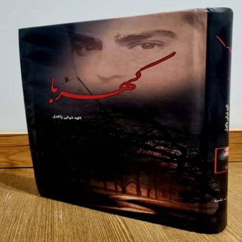 فروش کهربا الهه ذوقی پاکدل سلفون با کیفیت عالی